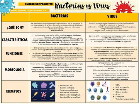comparativa de tamaño de bacterias, virus y parásitos