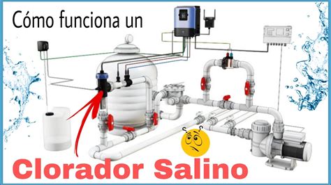 Diagrama de los componentes de un clorador salino