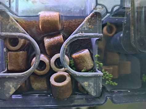 Comparativa visual: Canutillos dentro de un filtro vs. Canutillos sobre el sustrato