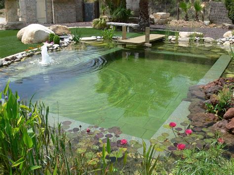 Infografía comparando una piscina convencional con una piscina natural, destacando diferencias en mantenimiento y componentes