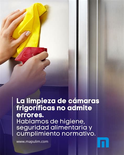 Infografía mostrando los pasos para una limpieza segura y efectiva de filtros de campana extractora