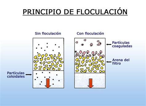 Diagrama de partículas suspendidas y flóculos en agua de piscina