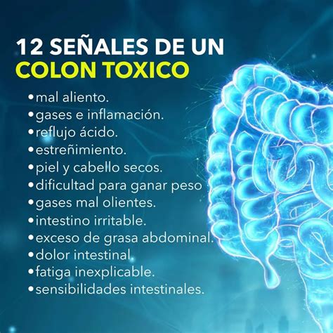 Infografía con los beneficios de un colon saludable