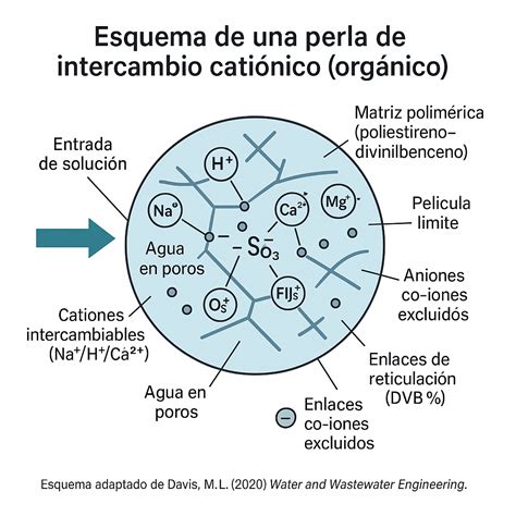 Granos de resina de intercambio iónico