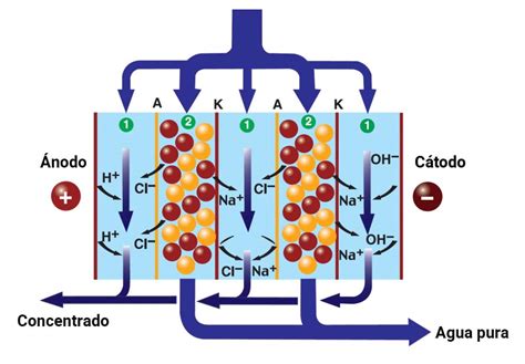 Diagrama de funcionamiento de la electrodesionización