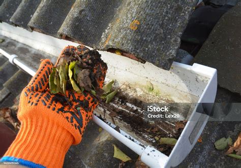 Canaleta obstruida con hojas