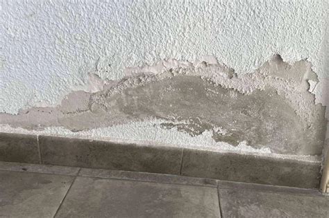 Pared con humedad y pintura descascarada