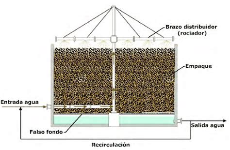 Diagrama de un filtro percolador