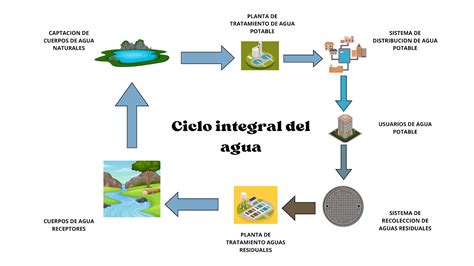 Esquema del ciclo integral del agua