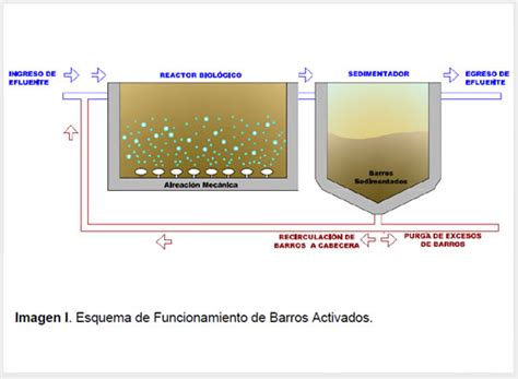 Proceso de fangos activados en una EDAR
