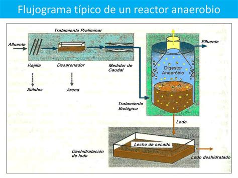 Diagrama de un reactor anaerobio