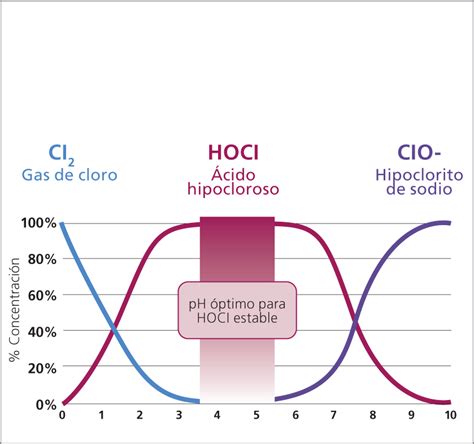 Representación gráfica de los efectos del hipoclorito en el cuerpo humano