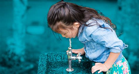 Importancia del agua potable