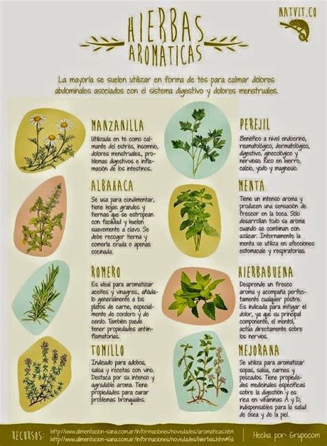 Infografía comparando las propiedades de varias hierbas medicinales