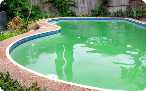 Piscina verde por algas