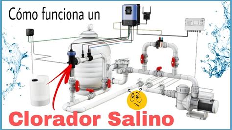 Componentes de un clorador salino