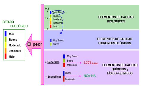 Diagrama conceptual del buen estado ecológico y químico