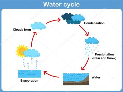 Diagrama de flujo del ciclo del agua