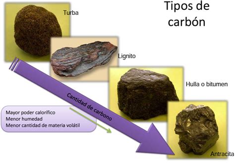 Tipos de carbón activado