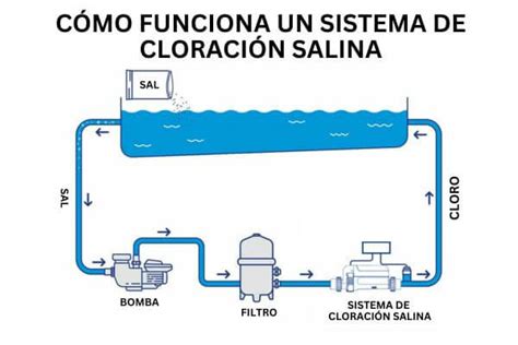 Gráfico comparativo de niveles de cloro en piscina con y sin cloración salina