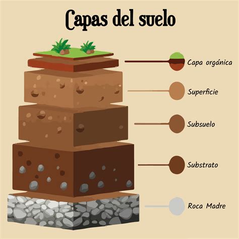 Representación visual de las capas del suelo filtrando agua