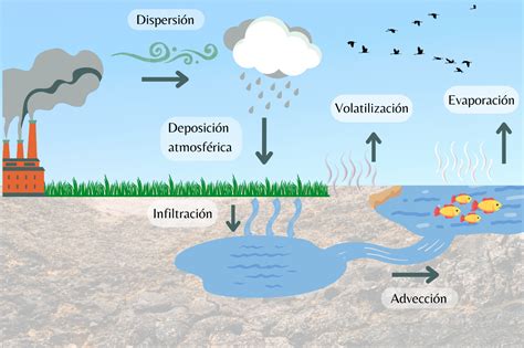Diagrama de procesos de eliminación de contaminantes en el suelo