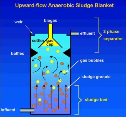 Esquema de un reactor UASB