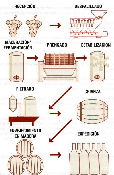Diagrama de clarificantes de vino