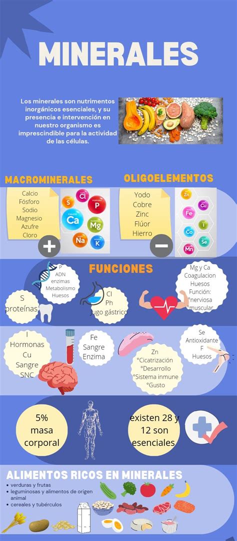 Infografía mostrando los minerales y vitaminas clave presentes en el caldo de verduras