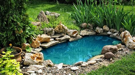 Un estanque de jardín con vegetación exuberante y agua cristalina