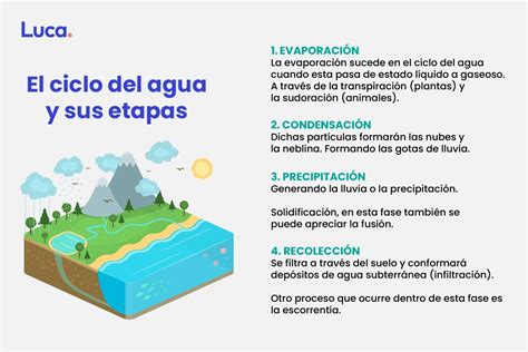Diagrama explicando el concepto de residuo seco en el agua