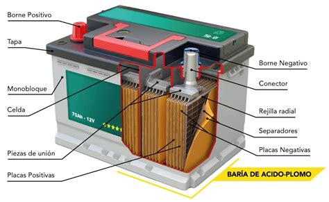 Componentes internos de una batería de coche