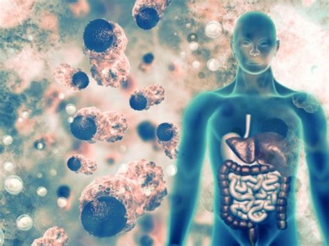 Diagrama que ilustra la acumulación de toxinas en el cuerpo a lo largo del tiempo
