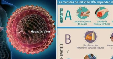 Diagrama ilustrando las vías de transmisión de la Hepatitis C