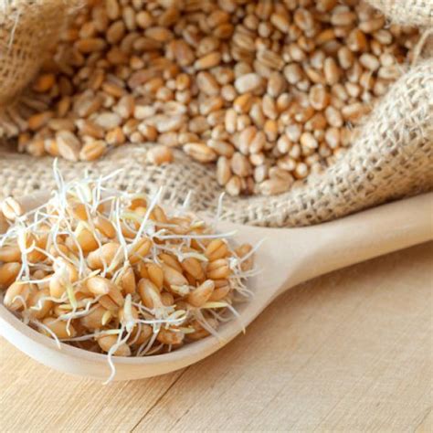 Detalle de ingredientes naturales como polen y germen de trigo