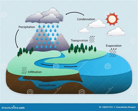 Diagrama del ciclo del agua en la naturaleza