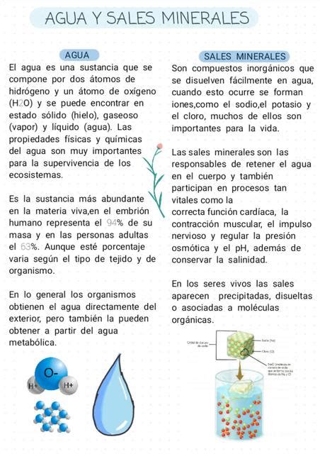 Agua destilada y sales minerales