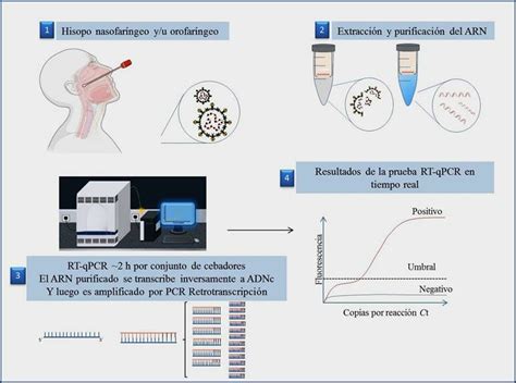 Diagrama de flujo de un kit de purificación de PCR basado en columnas de sílice