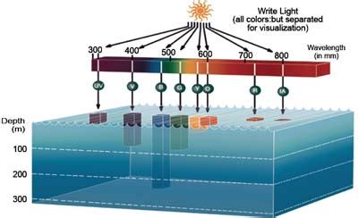 Gráfico mostrando la penetración de la luz en el agua y la pérdida de colores
