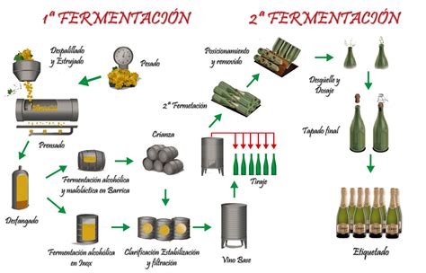Proceso de doble fermentación en la elaboración de vinos espumosos