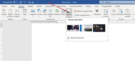 Captura de pantalla mostrando la herramienta Selección con diferentes formas en Picsart