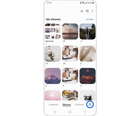 Interfaz del editor de la aplicación Galería de Samsung con opciones de filtros
