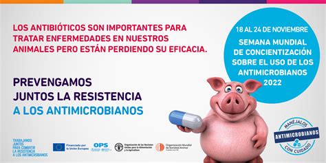 Ciclo de resistencia a antibióticos en la cadena alimentaria