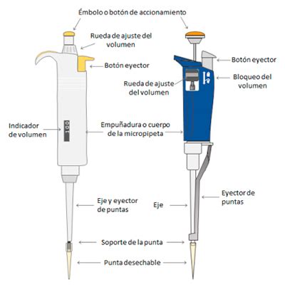 Diagrama de una micropipeta con puntas