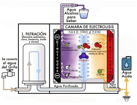 Esquema de un ionizador de agua mostrando la electrólisis