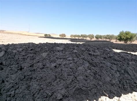 Composición típica de lodos de depuradora