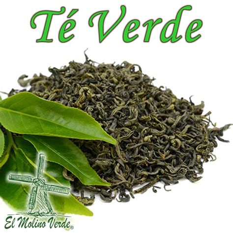 Hojas de té verde frescas