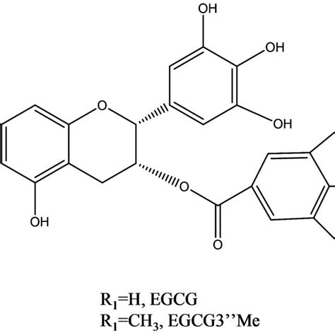 Estructura molecular de la EGCG
