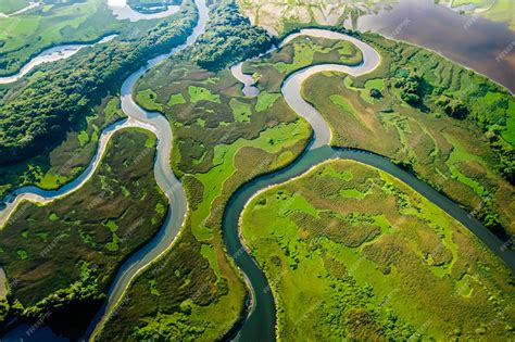 Vista aérea de los canales de Tortuguero con selva exuberante