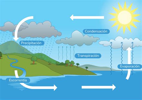 Representación gráfica de contaminantes emergentes en el ciclo del agua.